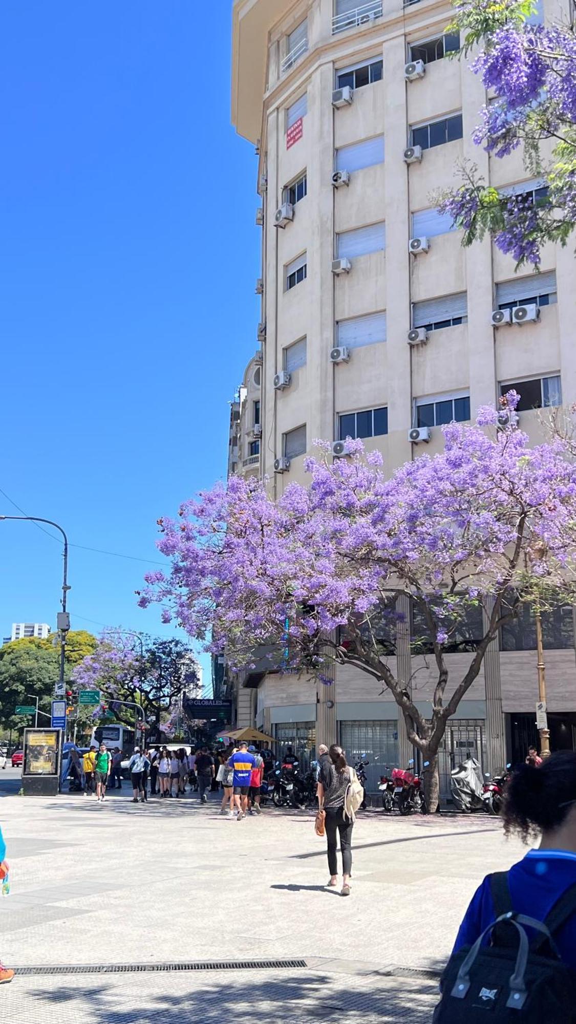 Loft Obelisco Apartment Buenos Aires Ngoại thất bức ảnh
